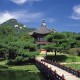 LOL全球战力榜2026：T1第一，BLG第二，英雄联盟全球战队战力排行榜